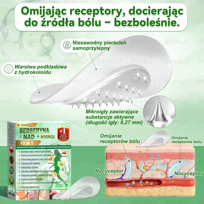 💟 BSWELL® Nano mikroigłowy plaster wyszczuplający (Raz dziennie, efekty już po 28 dniach ✅ Wspiera odchudzanie, serce, cukrzycę, sen, jelita, stawy i więcej.